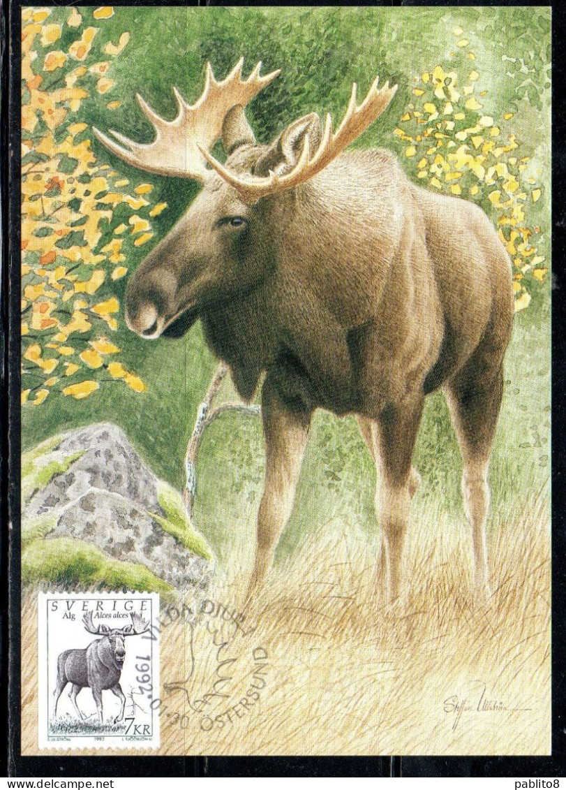 SWEDEN SVERIGE SVEZIA SUEDE 1992 1996 FAUNA WILD ANIMALS ANIMAUX ANIMALI ALCES 7k MAXI MAXIMUM CARD CARTE - Tarjetas – Máxima