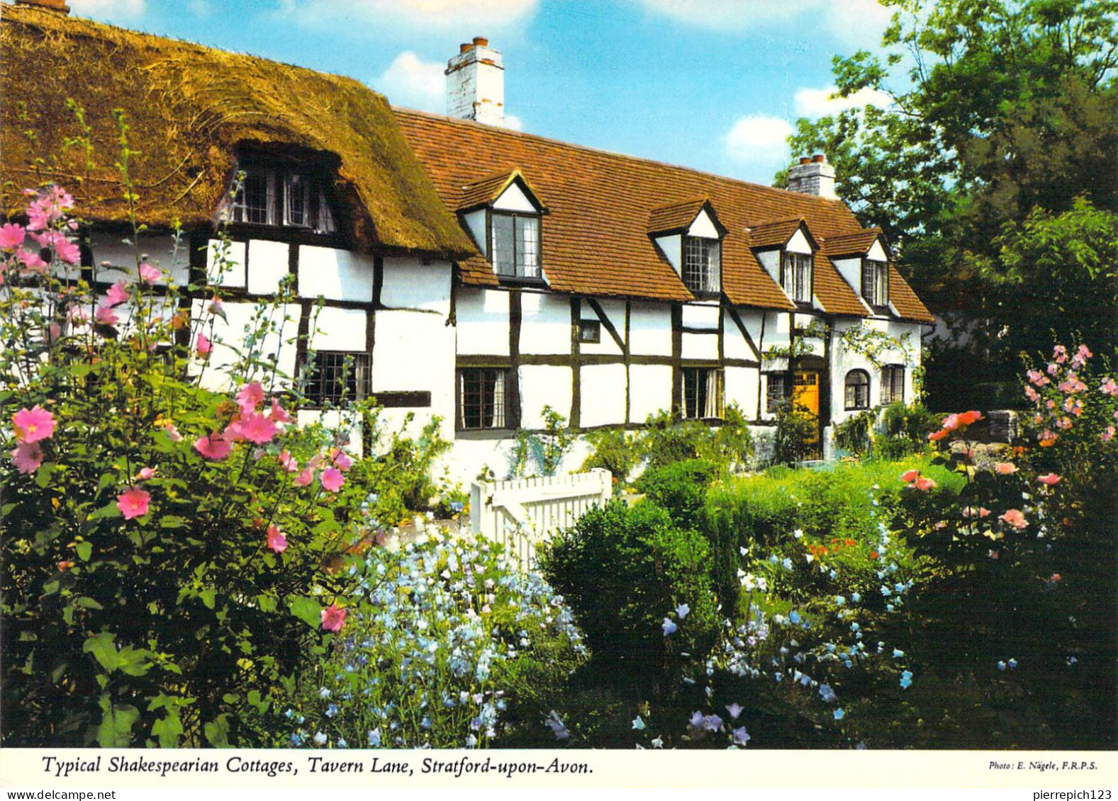 Stratford Upon Avon - Tavern Lane - Maison Typique Shakespearienne - Stratford Upon Avon