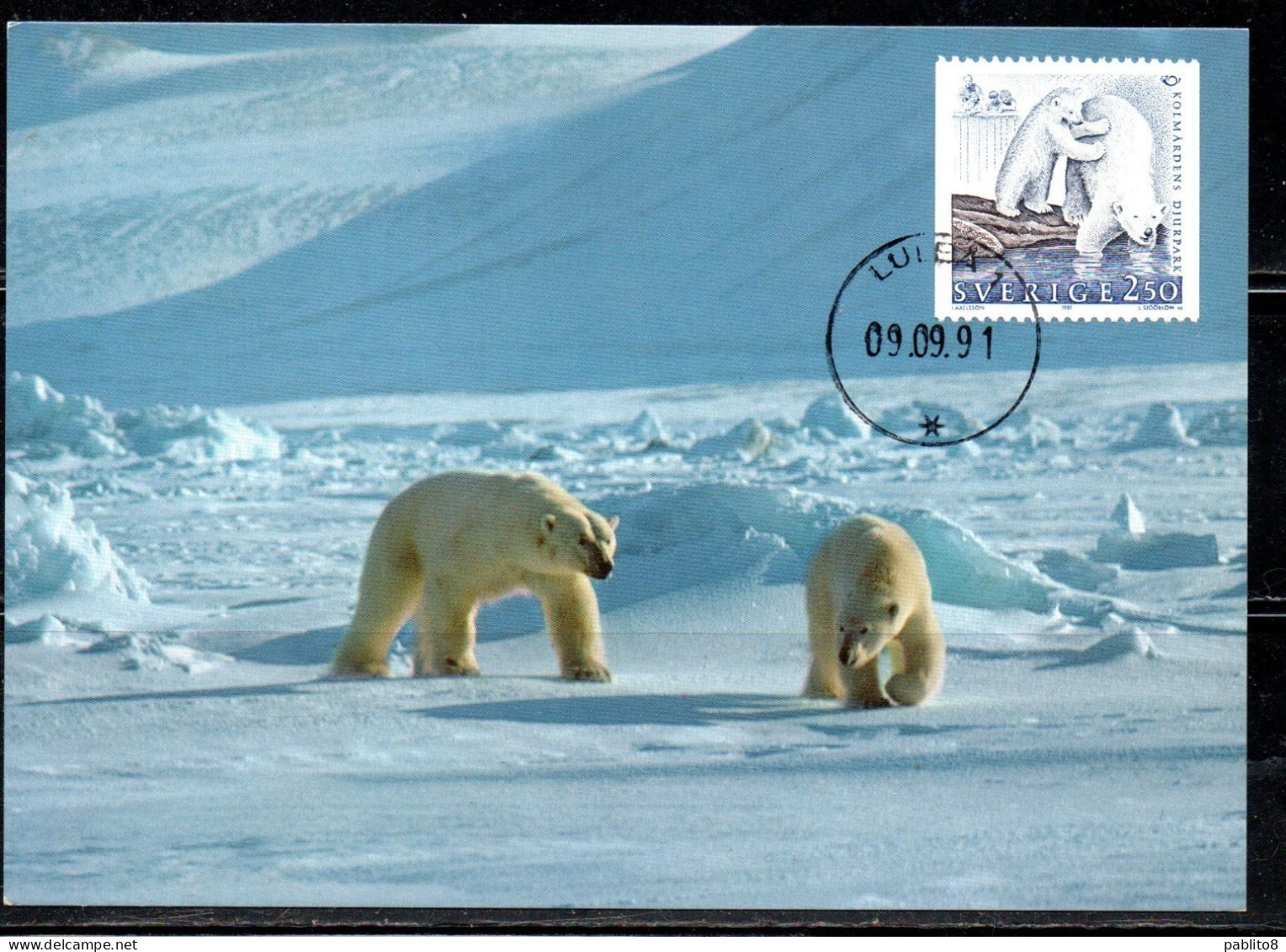 SWEDEN SVERIGE SVEZIA SUEDE 1991 KOLMARDEN ZOOLOGICAL PARK OSTERGOTLAND POLAR BEARS 2.50k MAXI MAXIMUM CARD CARTE - Maximumkarten (MC)