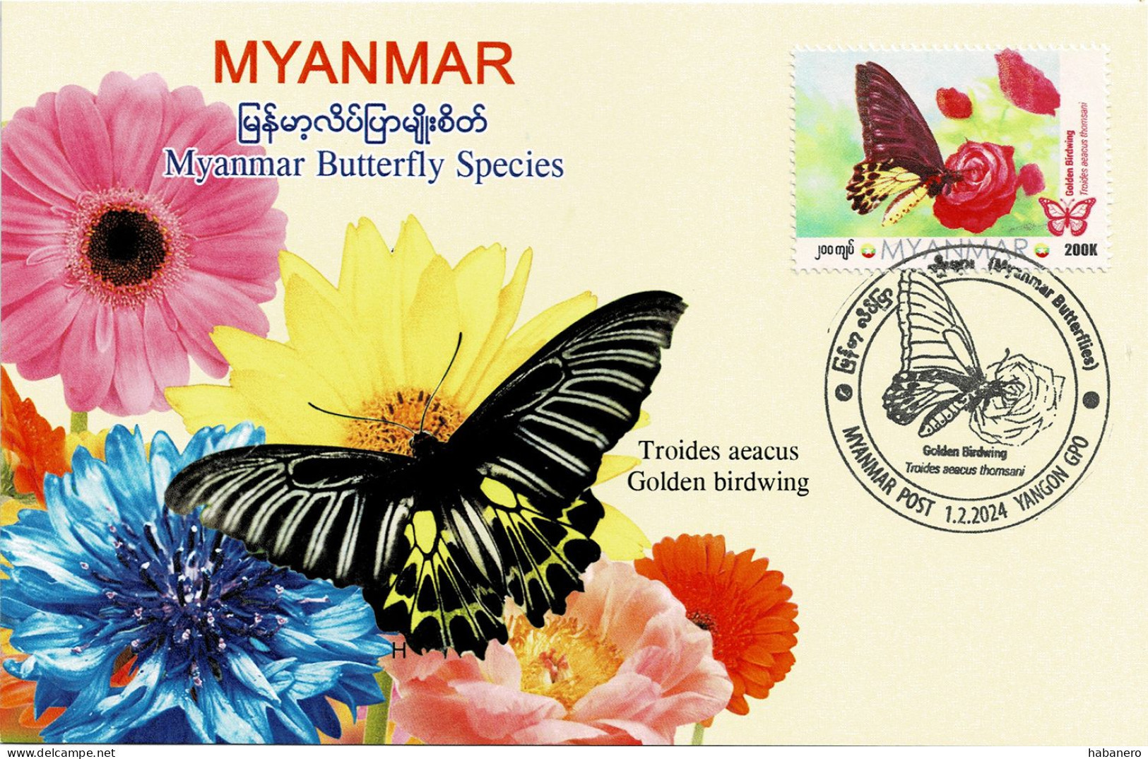 MYANMAR 2024 GOLDEN BIRDWING BUTTERFLY MAXIMUM CARD ONLY 100 ISSUED - Myanmar (Birma 1948-...)