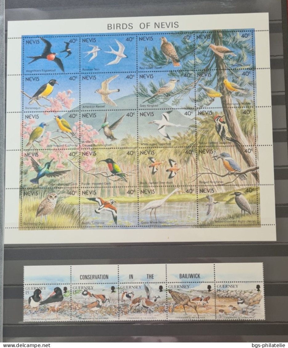 Collection De Timbres Sur Le Thème Des Oiseaux. - Collections (without Album)