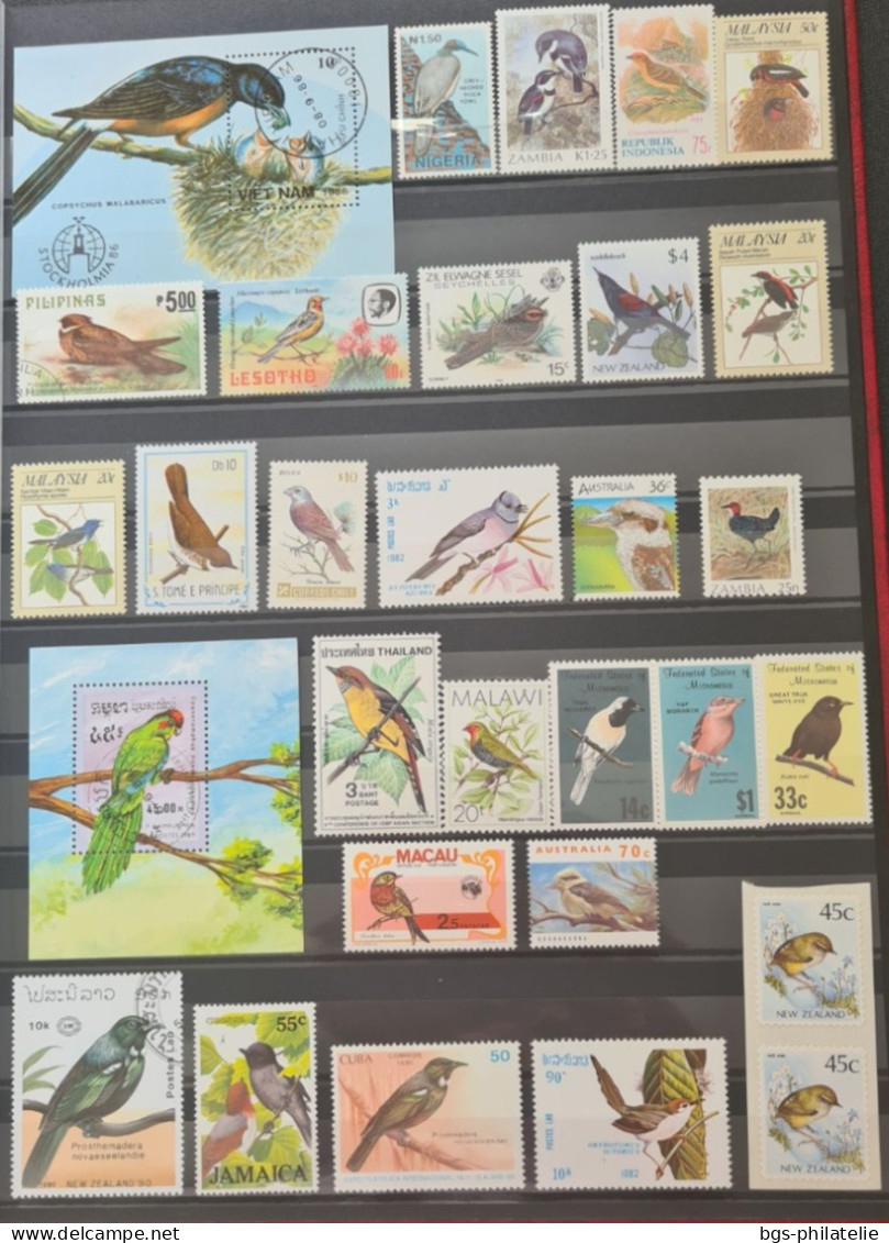 Collection De Timbres Sur Le Thème Des Oiseaux. - Collections (sans Albums)