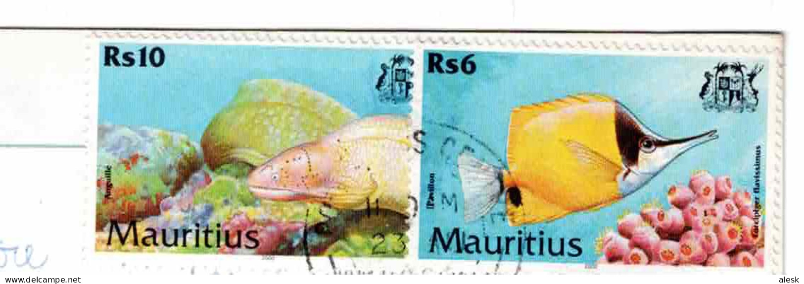 ÎLE MAURICE - MAURITIUS N°952 + 955 - 23 Auôt 2003 - Poisson Pavillon & Aiguille - CP Merville - Maurice (1968-...)