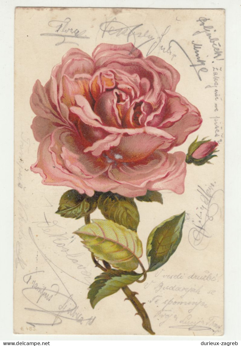 Rose Old Postcard Posted 1901 Wippach Vipava To Triest B240503 - Slovénie