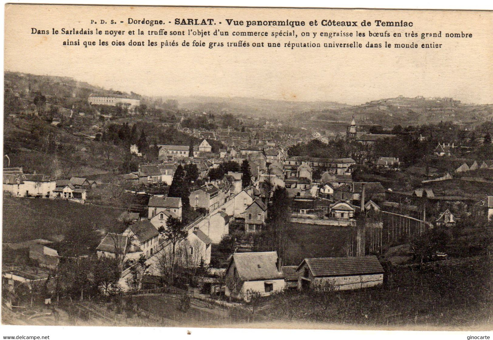 Sarlat La Caneda Vue Panoramique - Sarlat La Caneda