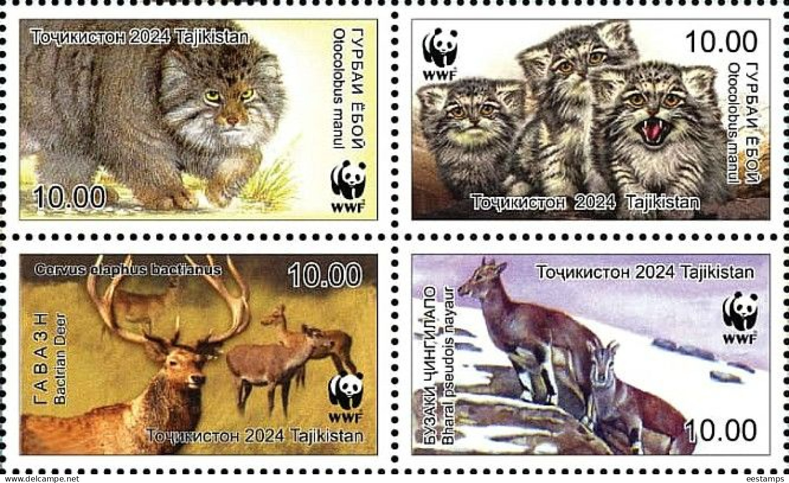 Tajikistan 2024 . Fauna. WWF History. 4v. - Tajikistan