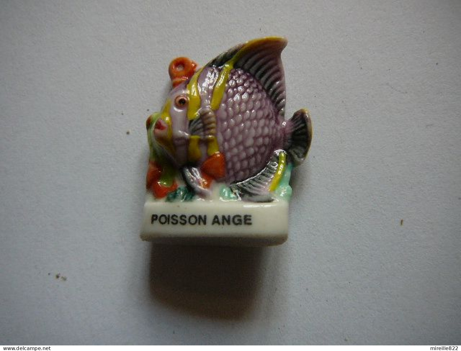 Fève - Poisson Ange - Other & Unclassified