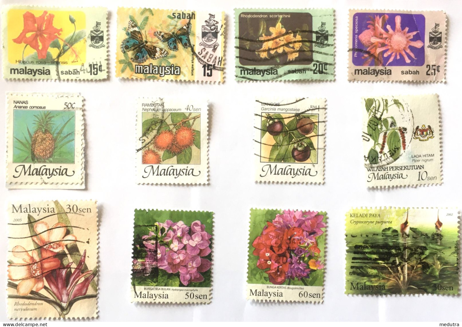 Malaisie : 31 Timbres Différents Oblitérés (3 Photos) - Malaysia (1964-...)