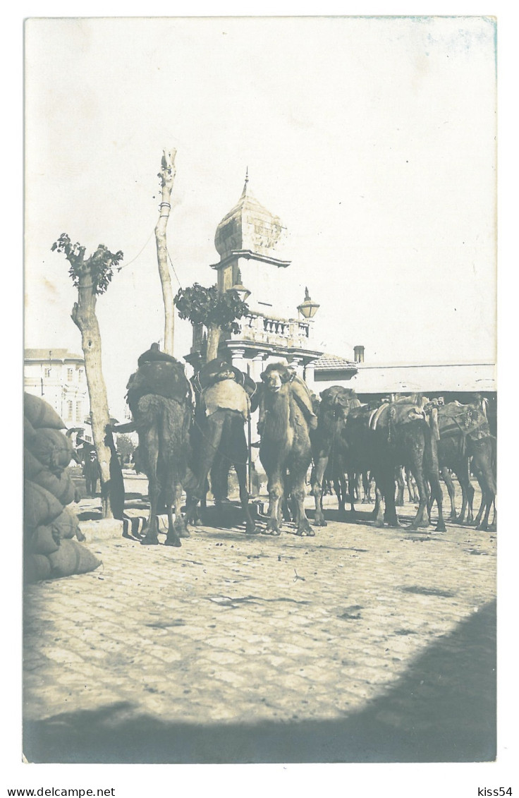 TR 23 - 18814 ADANA, Abdul Hamid Mosque, Camel Caravan, Turkey - Old Postcard, Real PHOTO - Unused - Turkije
