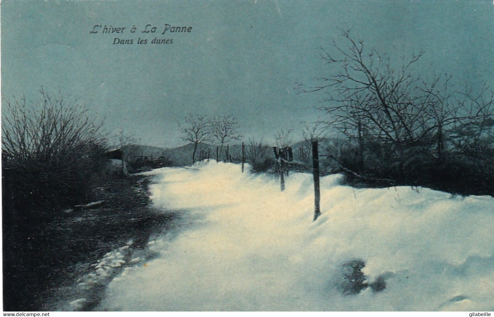DE PANNE - LA PANNE - L'hiver A La Panne - Dans Les Dunes - De Panne