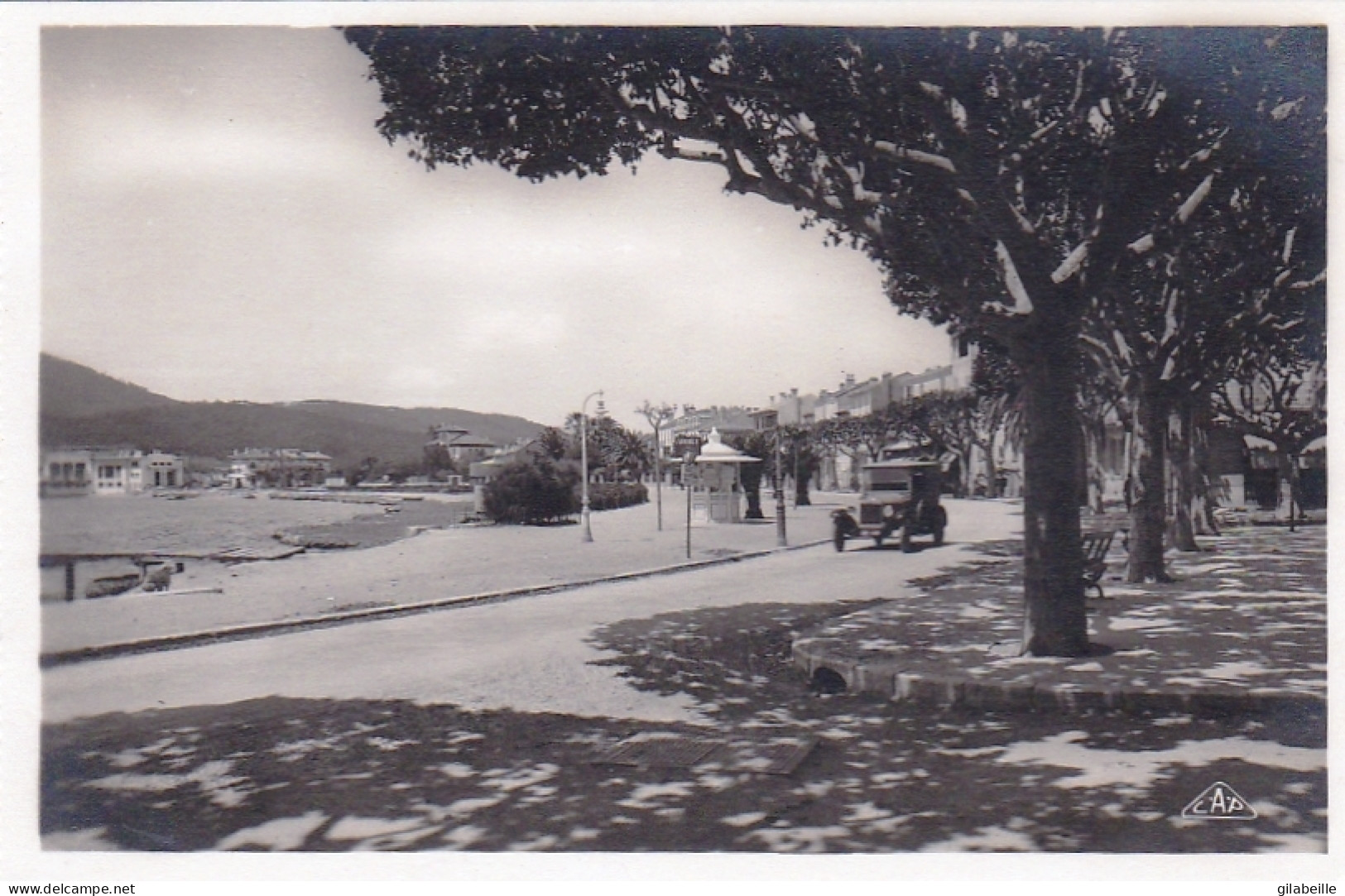 83 - Var - SAINTE MAXIME Sur MER  - Boulevard Du Littoral - Sainte-Maxime