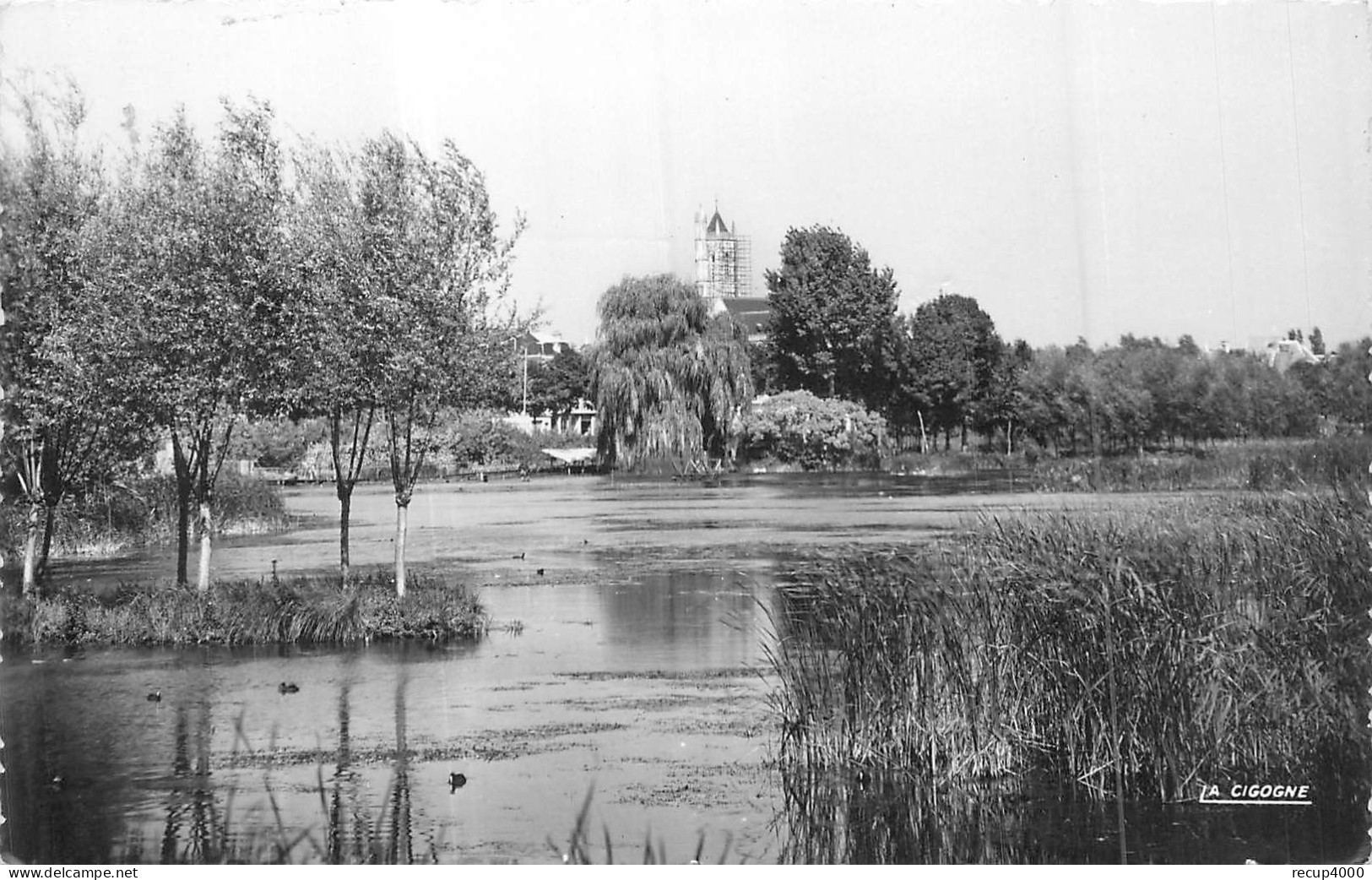 80 PERONNE  Les étangs      Cpsm   2 Scans - Peronne