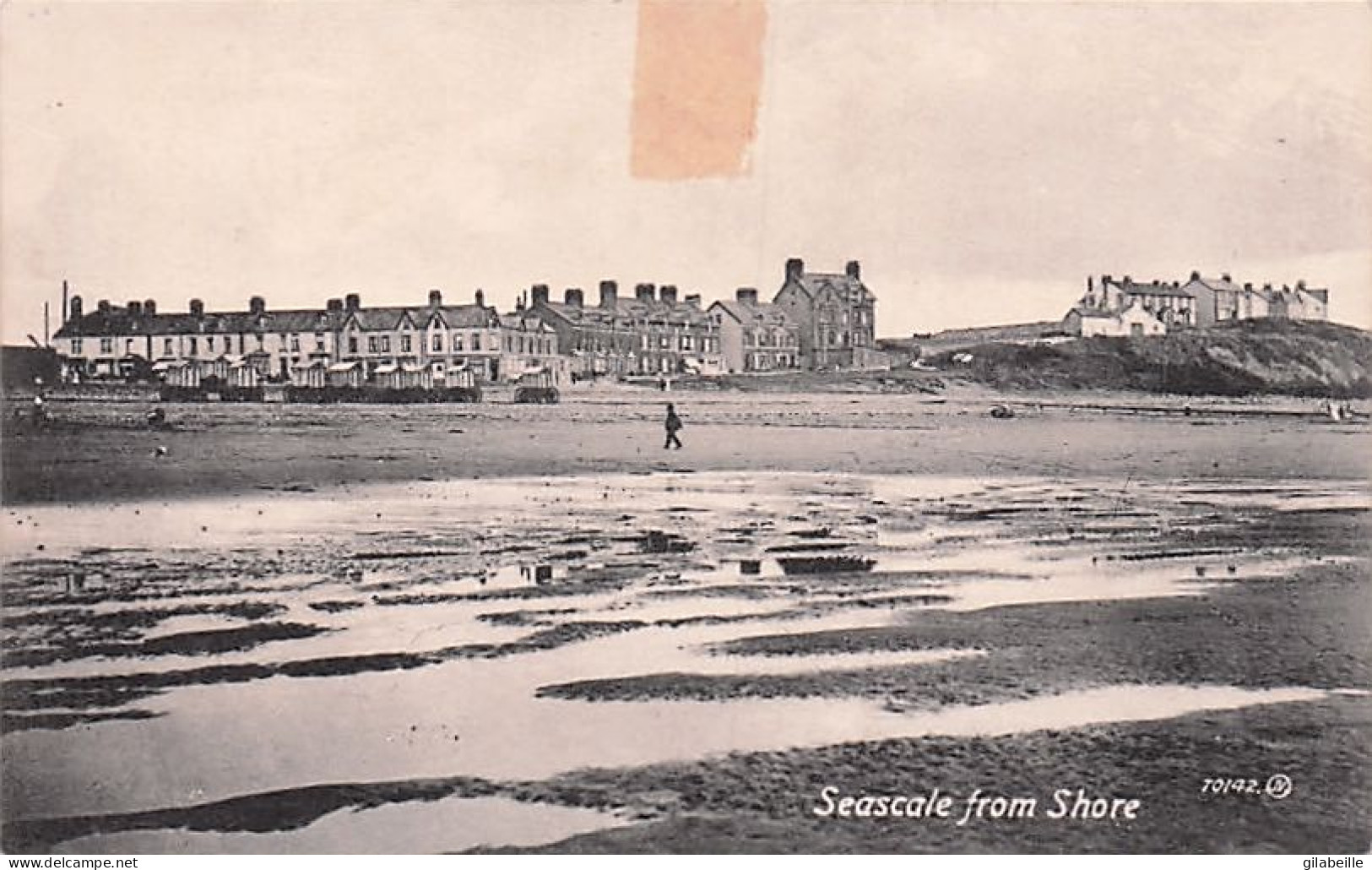 Seascale From Shore - Other & Unclassified
