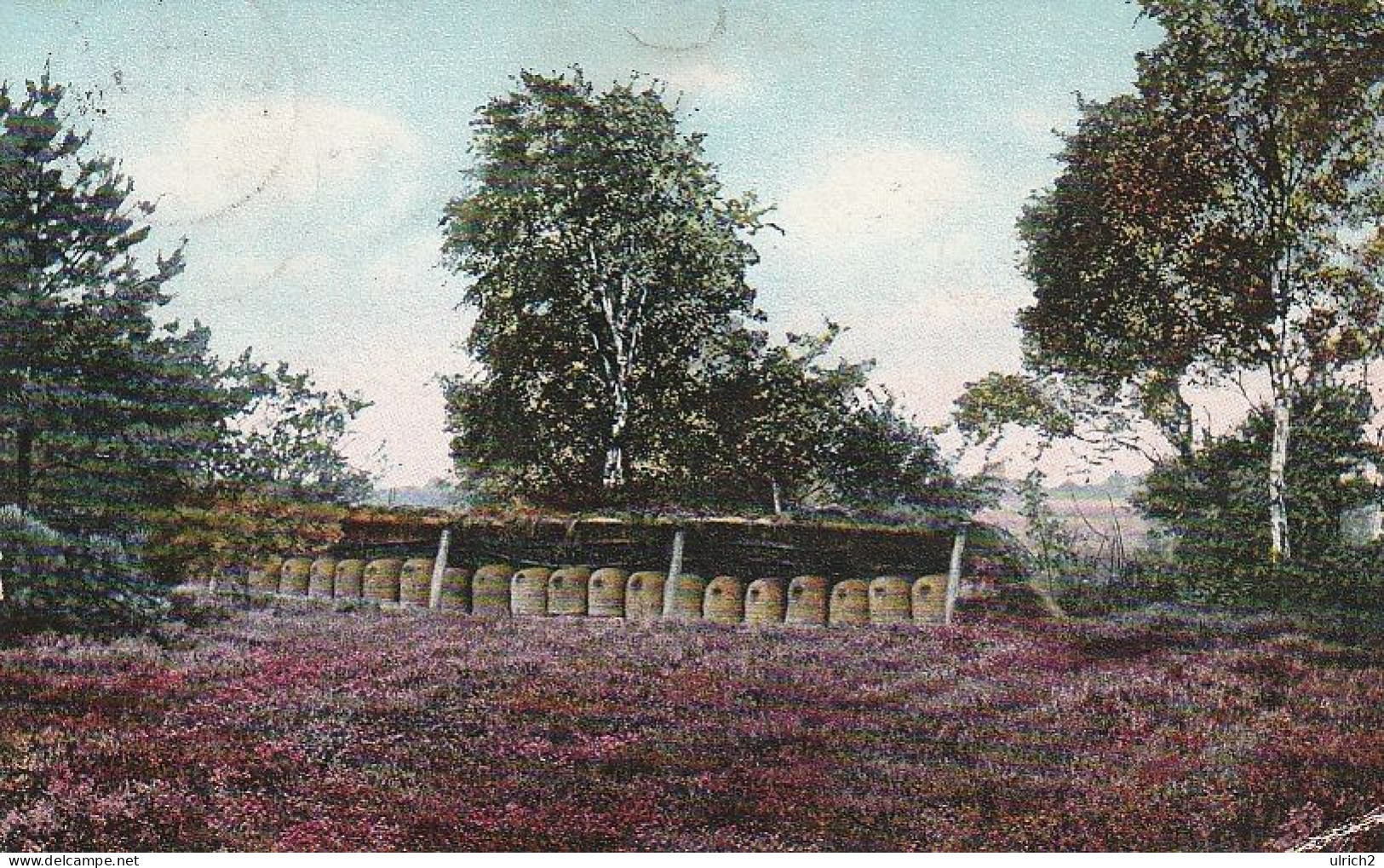 AK Lüneburger Heide - Bienenstand Bei Hanstedt - 1914  (69121) - Lüneburger Heide