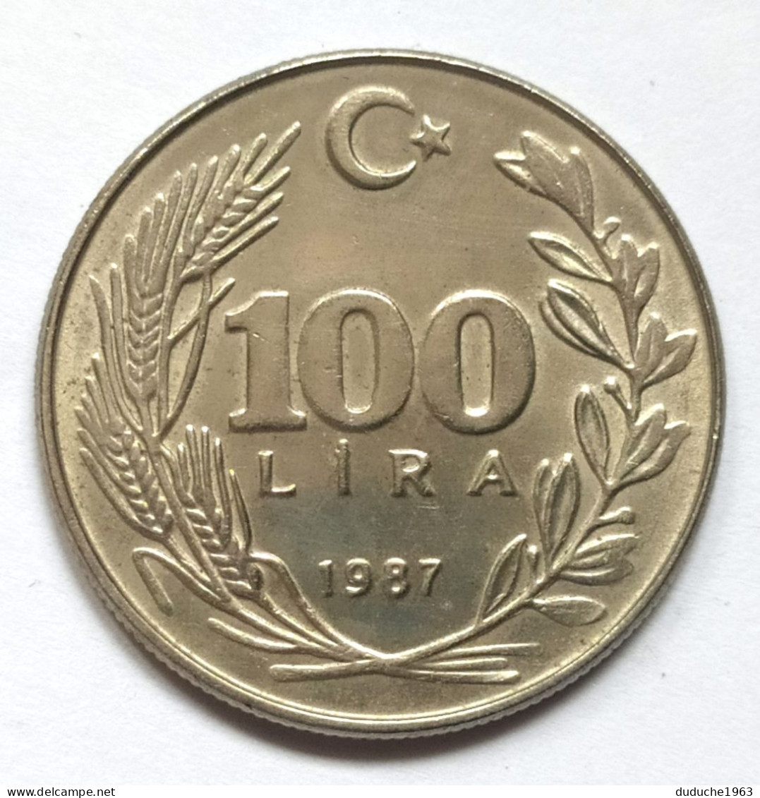 Turquie - 100 Lira 1987 - Türkei