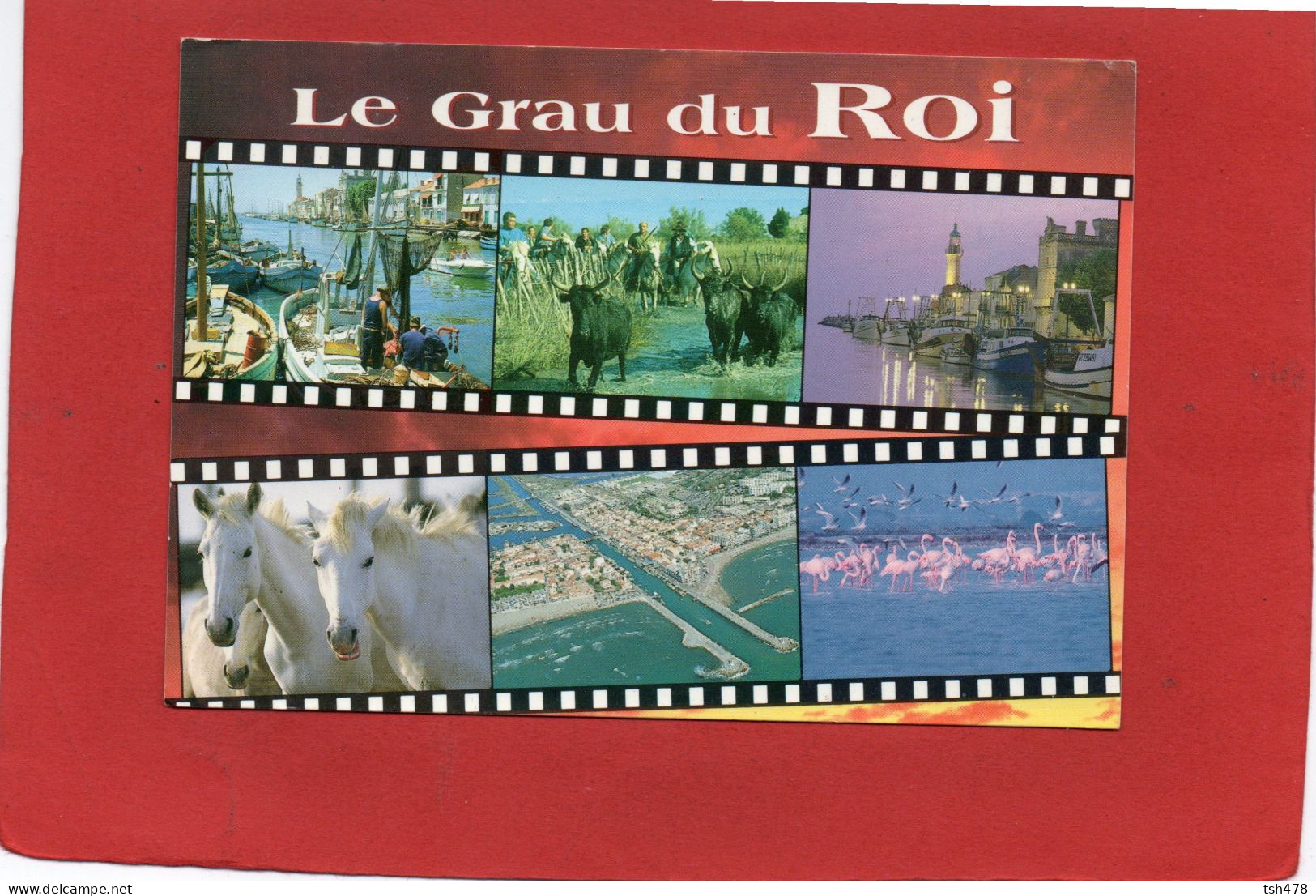 30----LE GRAU DU ROI--Multi-vues--voir 2 Scans - Le Grau-du-Roi