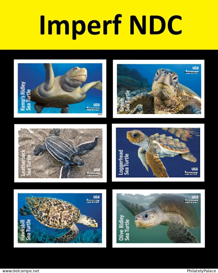 USA 2024 Protect Sea Turtles,Oilve Ridley,Animal, Imperf NDC, Set 6 MNH (**) - Ungebraucht