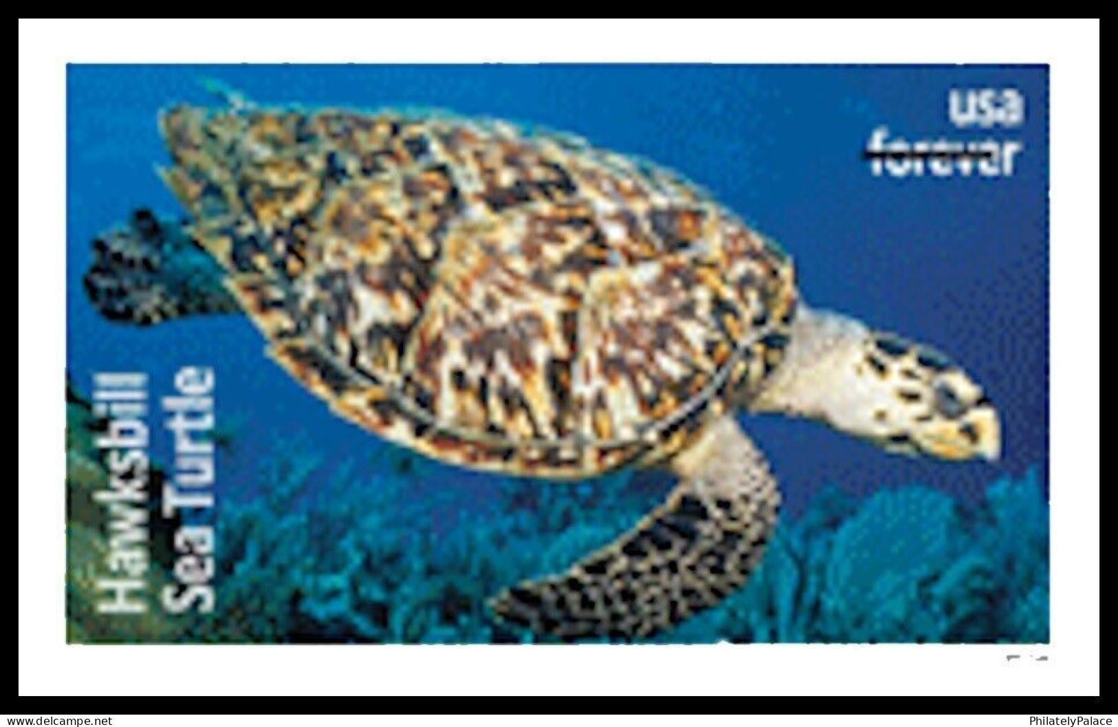 USA 2024 Protect Sea Turtles,Oilve Ridley,Animal, Imperf NDC, Set 6 MNH (**) - Nuovi
