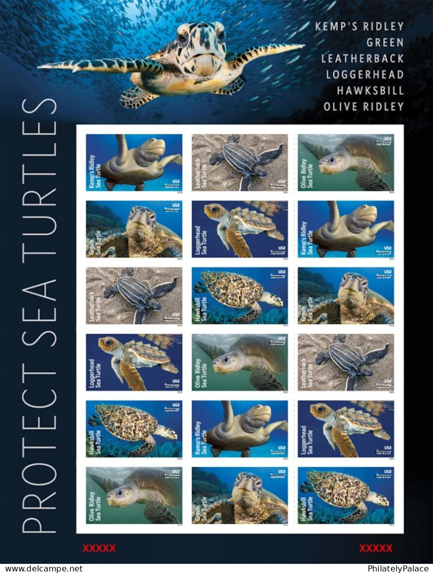 USA 2024 Protect Sea Turtles,Oilve Ridley,Animal, Imperf NDC, Full Sheet, MNH (**) - Ongebruikt
