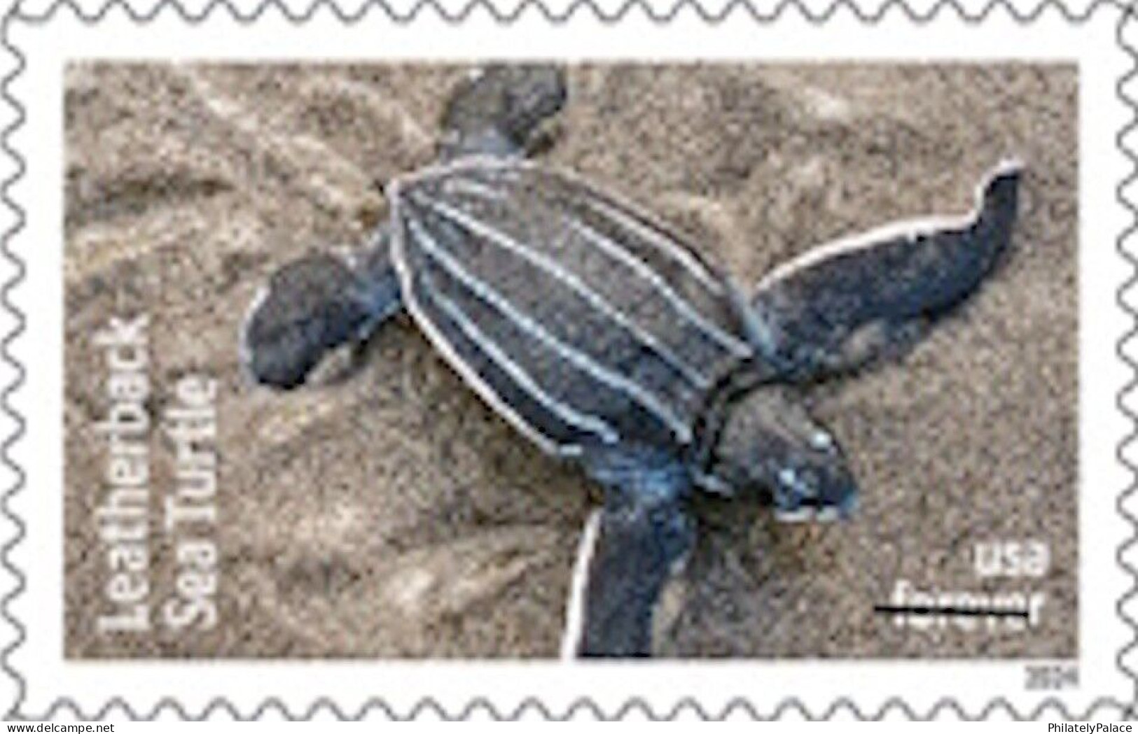 USA 2024 Protect Sea Turtles,Oilve Ridley,Animal, Perforated ,Set Of 6v, MNH (**) - Ungebraucht