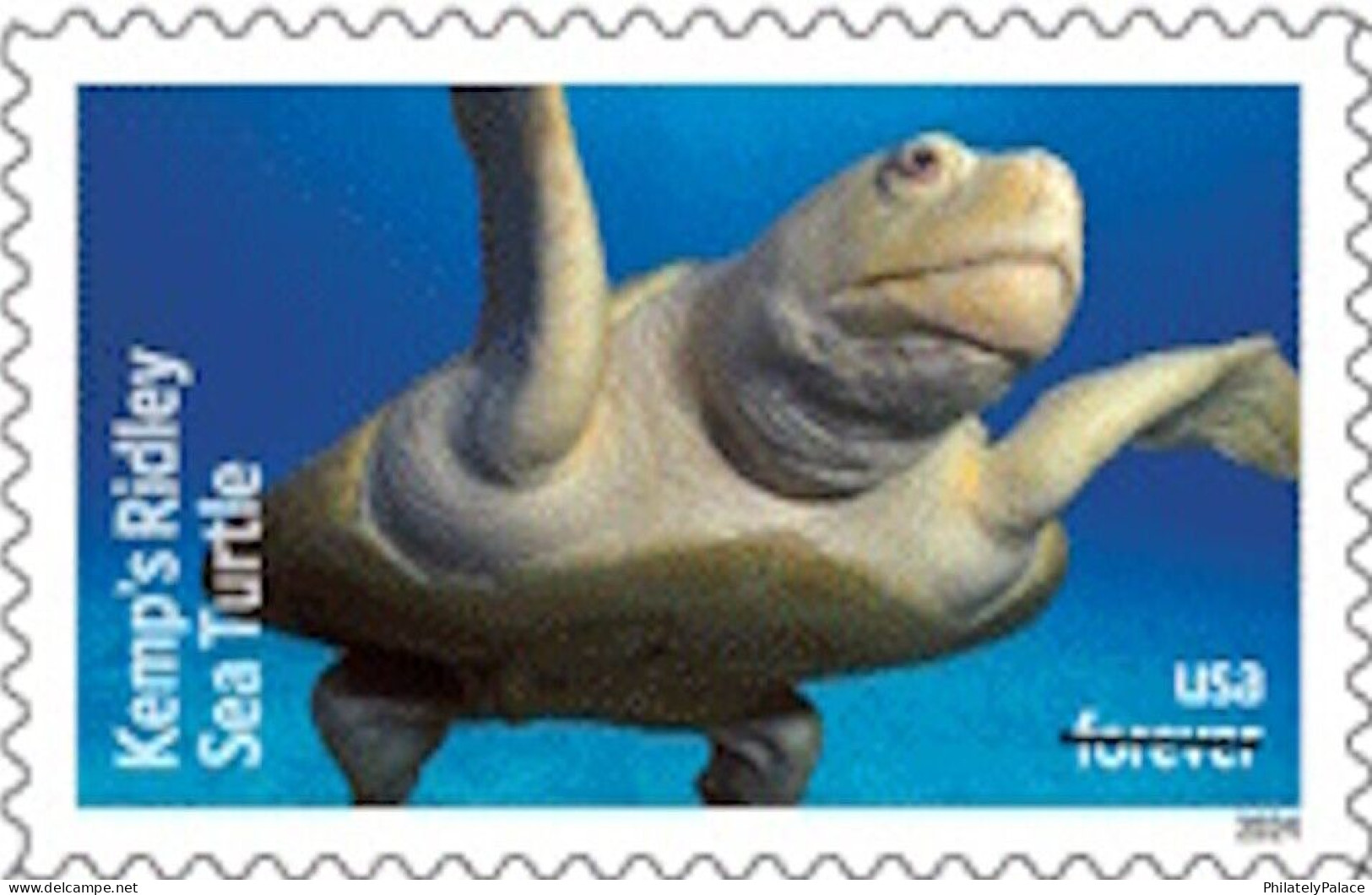 USA 2024 Protect Sea Turtles,Oilve Ridley,Animal, Perforated ,Set of 6v, MNH (**)