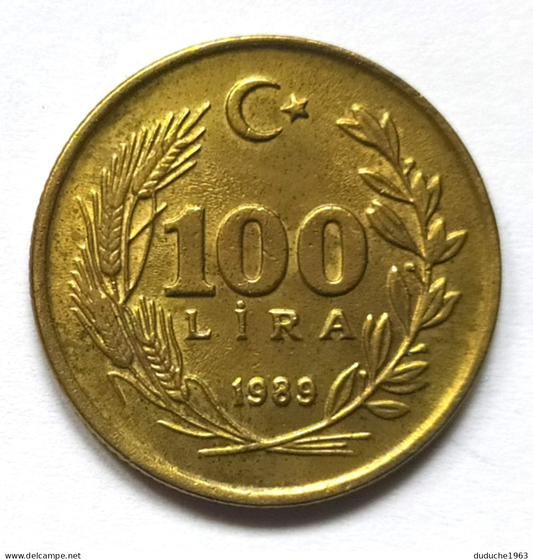 Turquie - 100 Lira 1989 - Turquie
