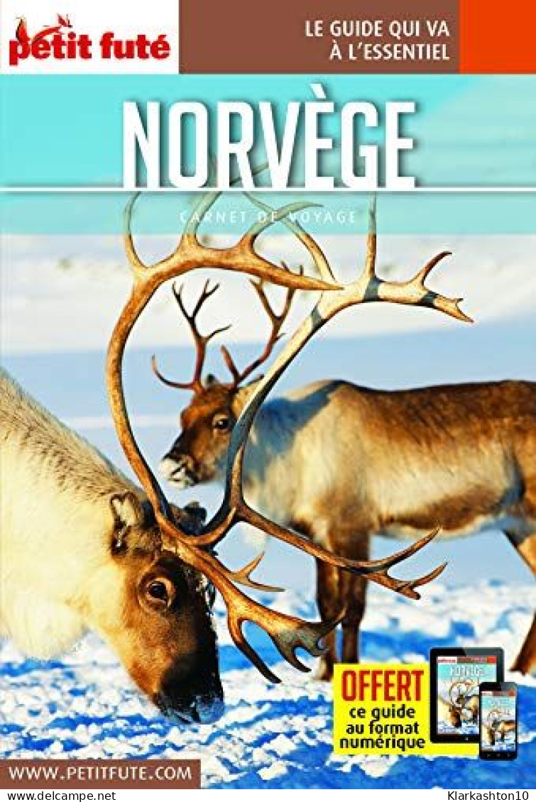 Guide Norvège 2019 Carnet Petit Futé - Sonstige & Ohne Zuordnung