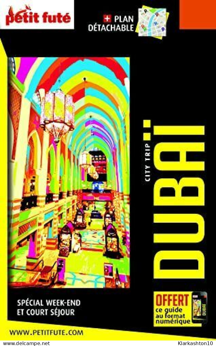 Guide Dubaï 2022-2023 City Trip Petit Futé - Sonstige & Ohne Zuordnung