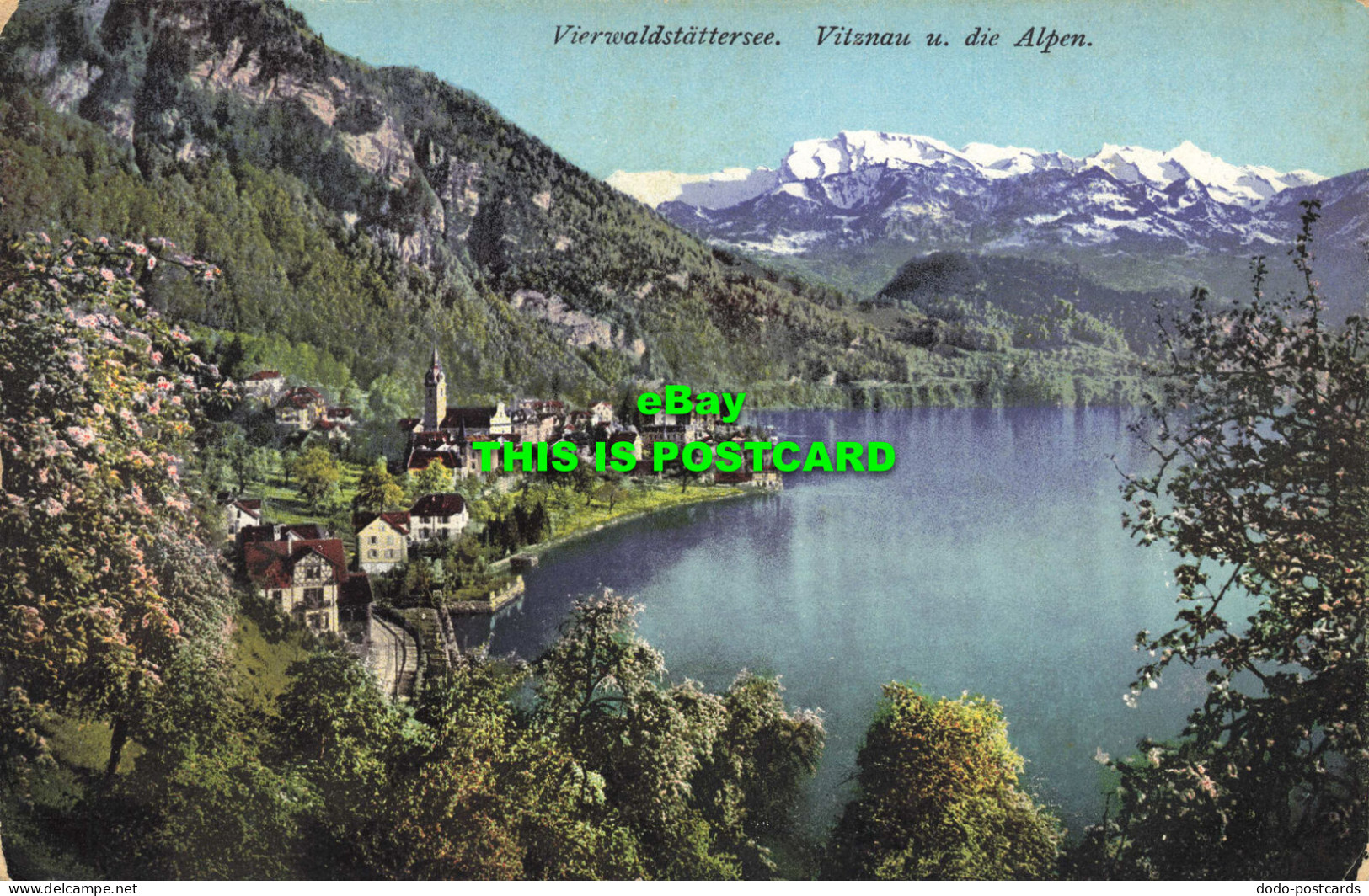 R606373 Vierwaldstattersee. Vitznau U. Die Alpen. No. 4696. E. Goetz. Luzern - World