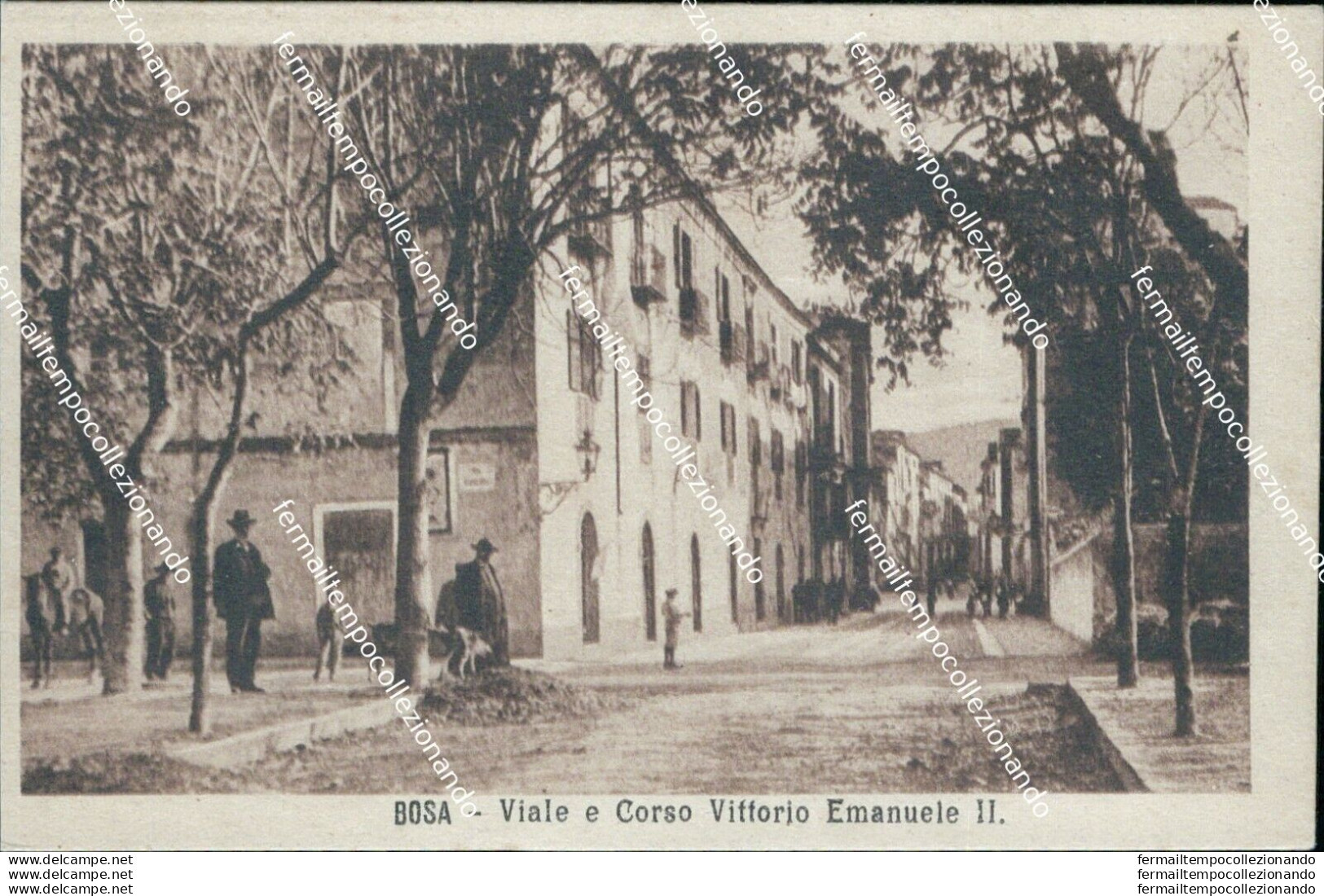 Bt26 Cartolina Bosa Viale E Corso Vittorio Emanuele Provincia Di Nuoro Sardegna - Nuoro