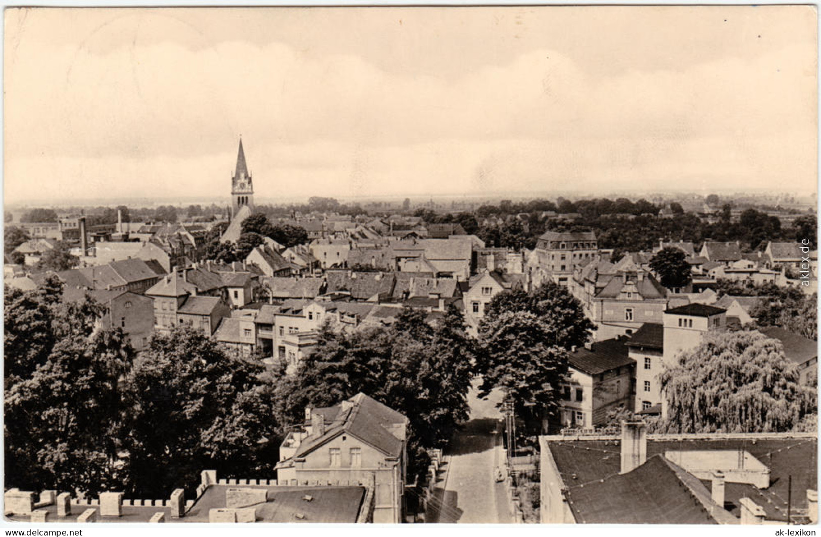 Bad Liebenwerda Panorama über Den Dächern Foto Ansichtskarte  1963 - Bad Liebenwerda