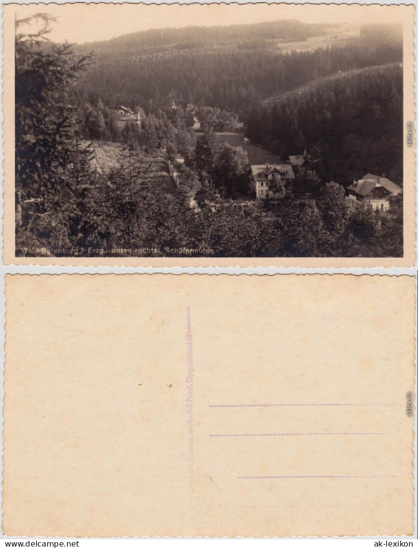 Bärenburg Altenberg (Erzgebirge) Blick Auf Die Schäfermühle 1930 - Altenberg