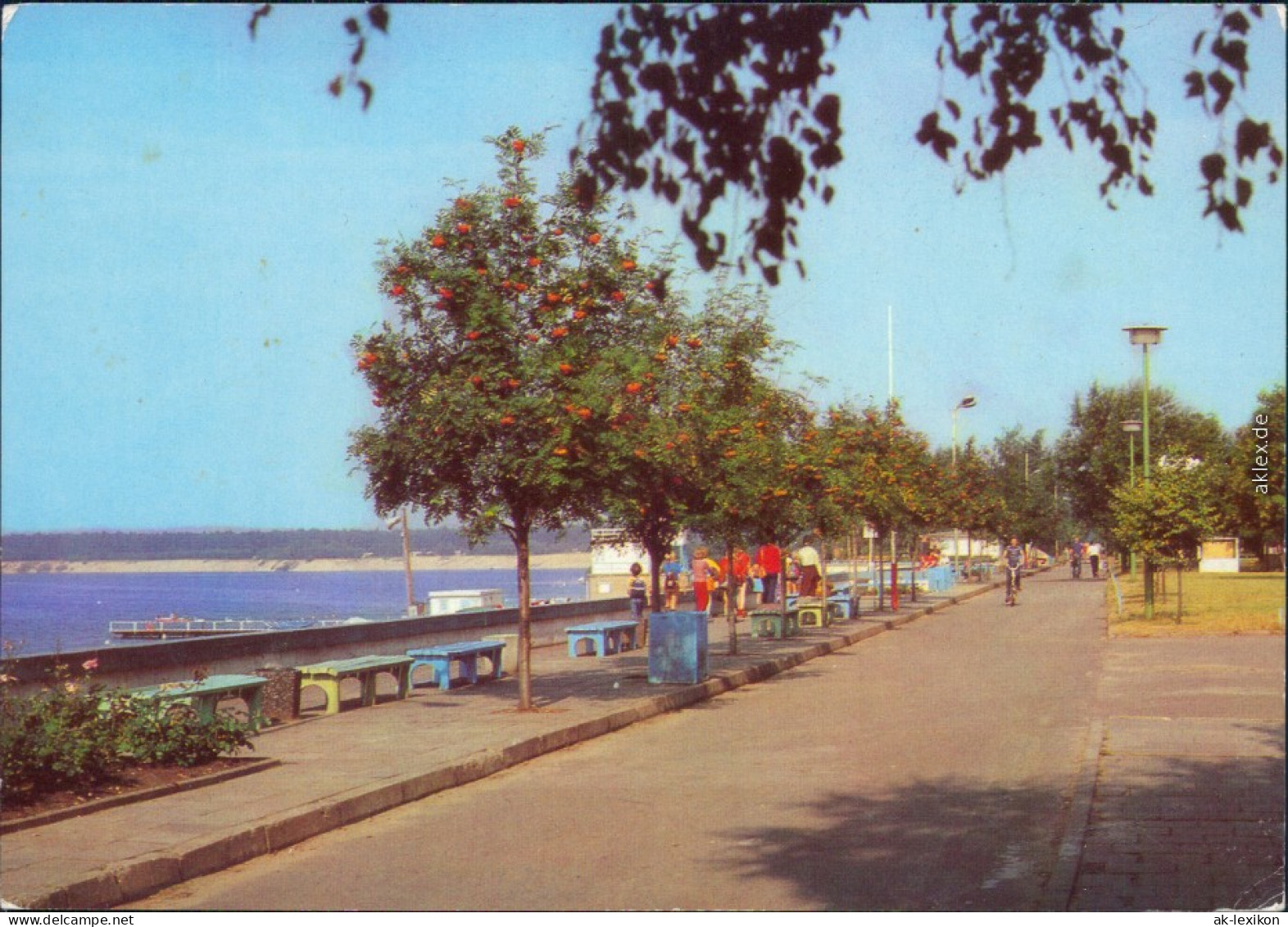 Ansichtskarte Lossow Frankfurt (Oder) Strandpromenade Ansichtskarte G1984 - Frankfurt A. D. Oder