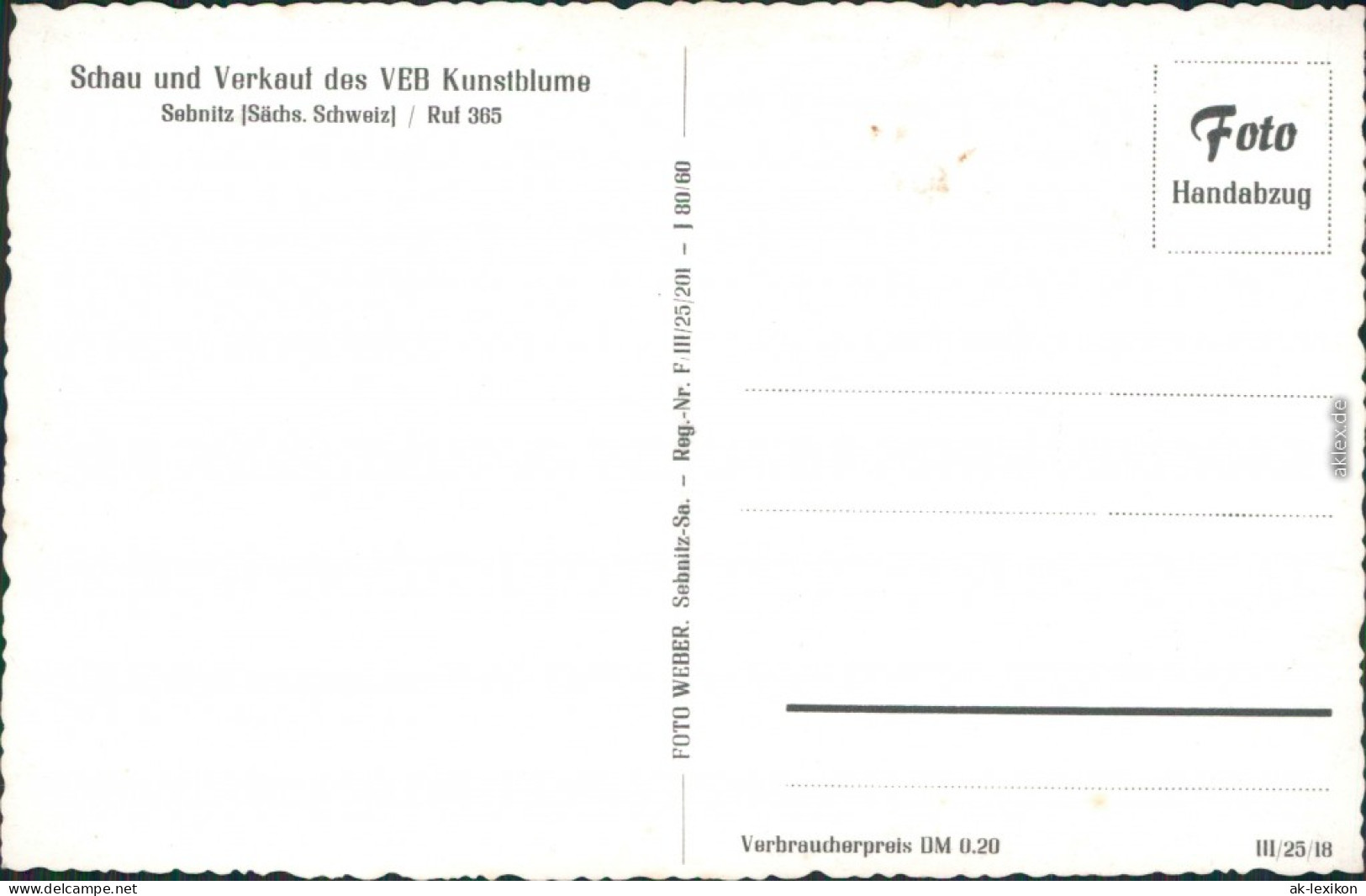 Ansichtskarte Sebnitz Schau Und Verkauf Des VEB KUnstblume 1960  - Sebnitz
