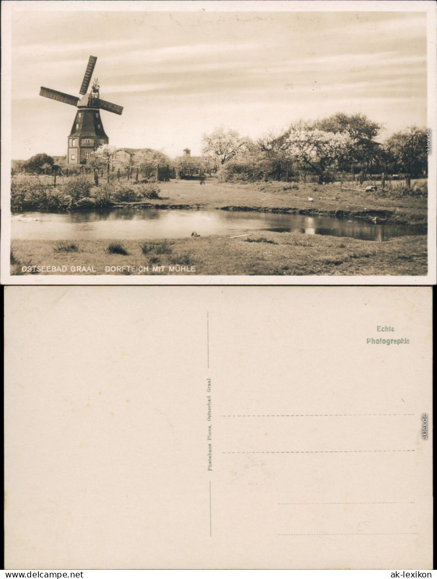 Ansichtskarte Graal-Müritz Dorfteich Windmühle 1932  - Graal-Müritz
