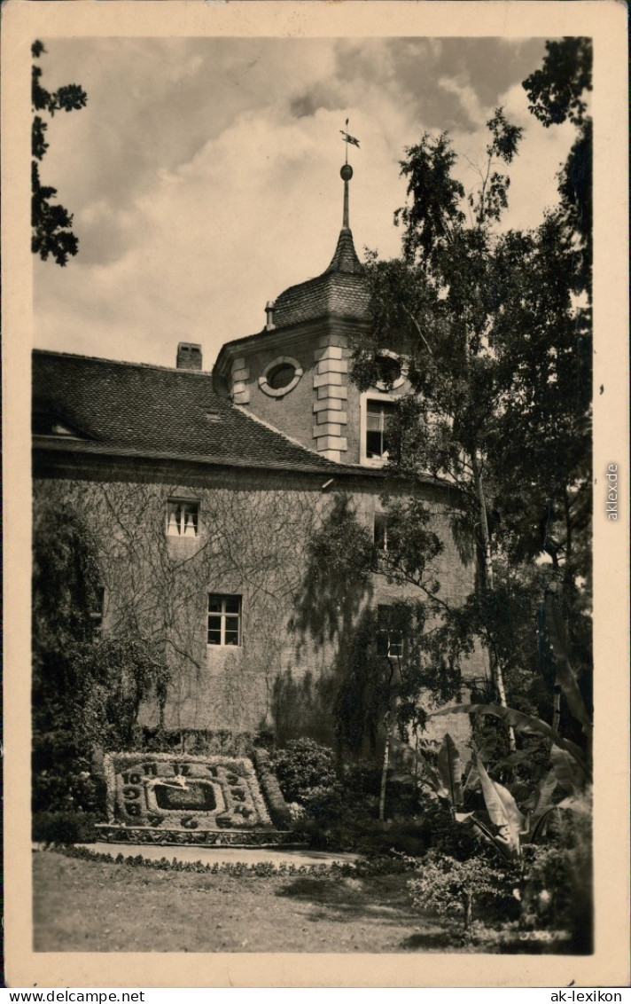 Ansichtskarte Zittau Blumenuhr Mit Fleischerbastei 1956 - Zittau