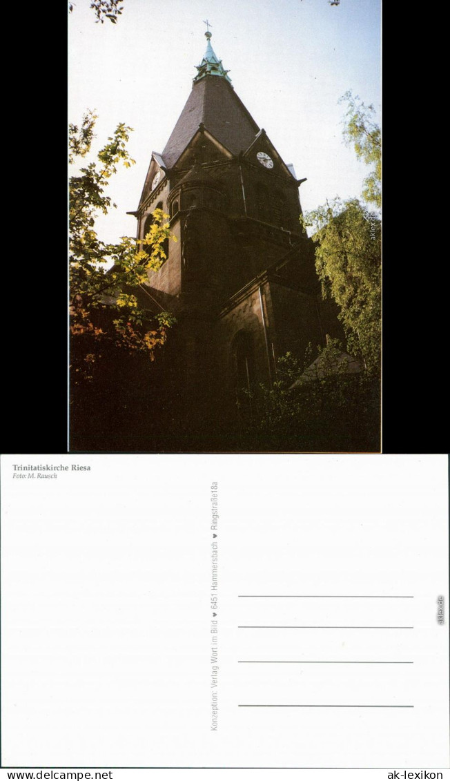 Ansichtskarte Riesa Trinitatiskirche 1994 - Riesa