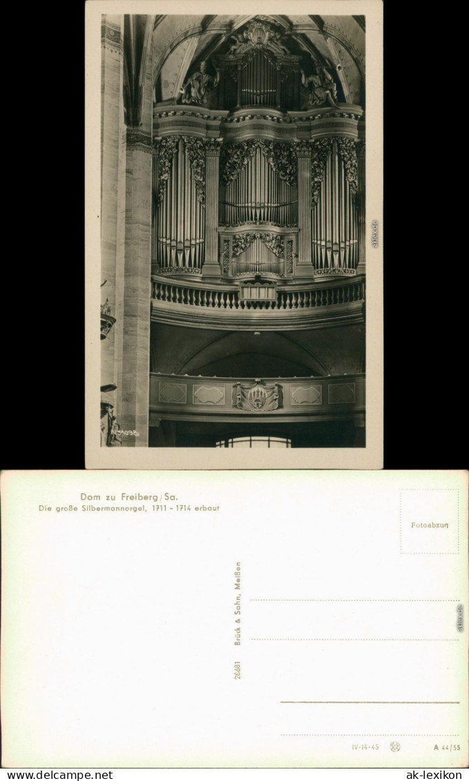 Ansichtskarte Freiberg (Sachsen) Dom St. Marien - Silbermannorgel 1955 - Freiberg (Sachsen)