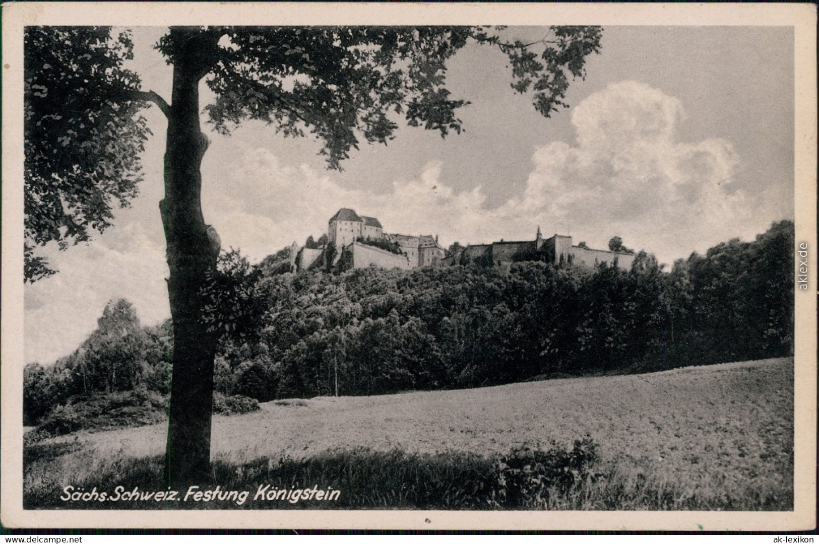 Ansichtskarte Königstein (Sächsische Schweiz) Panorama Ansicht 1951 - Königstein (Sächs. Schw.)