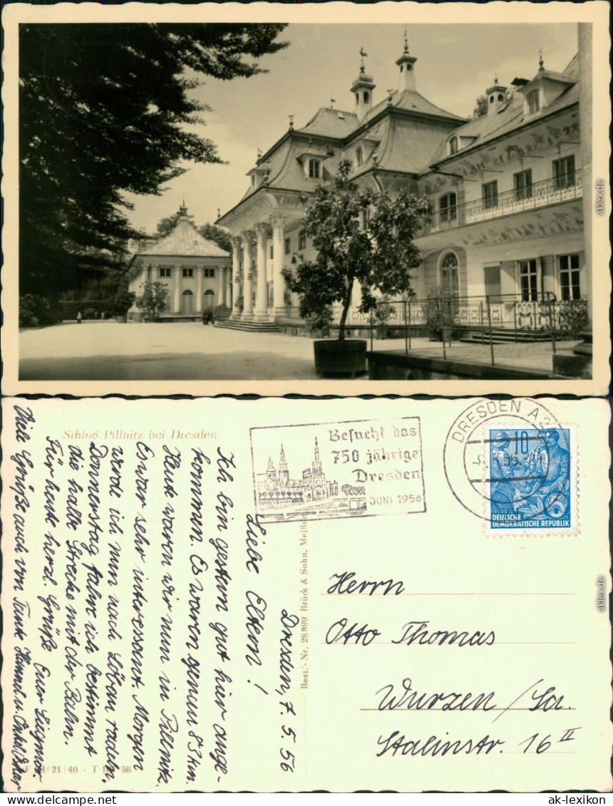 Ansichtskarte Pillnitz Schloss Pillnitz 1956 - Pillnitz