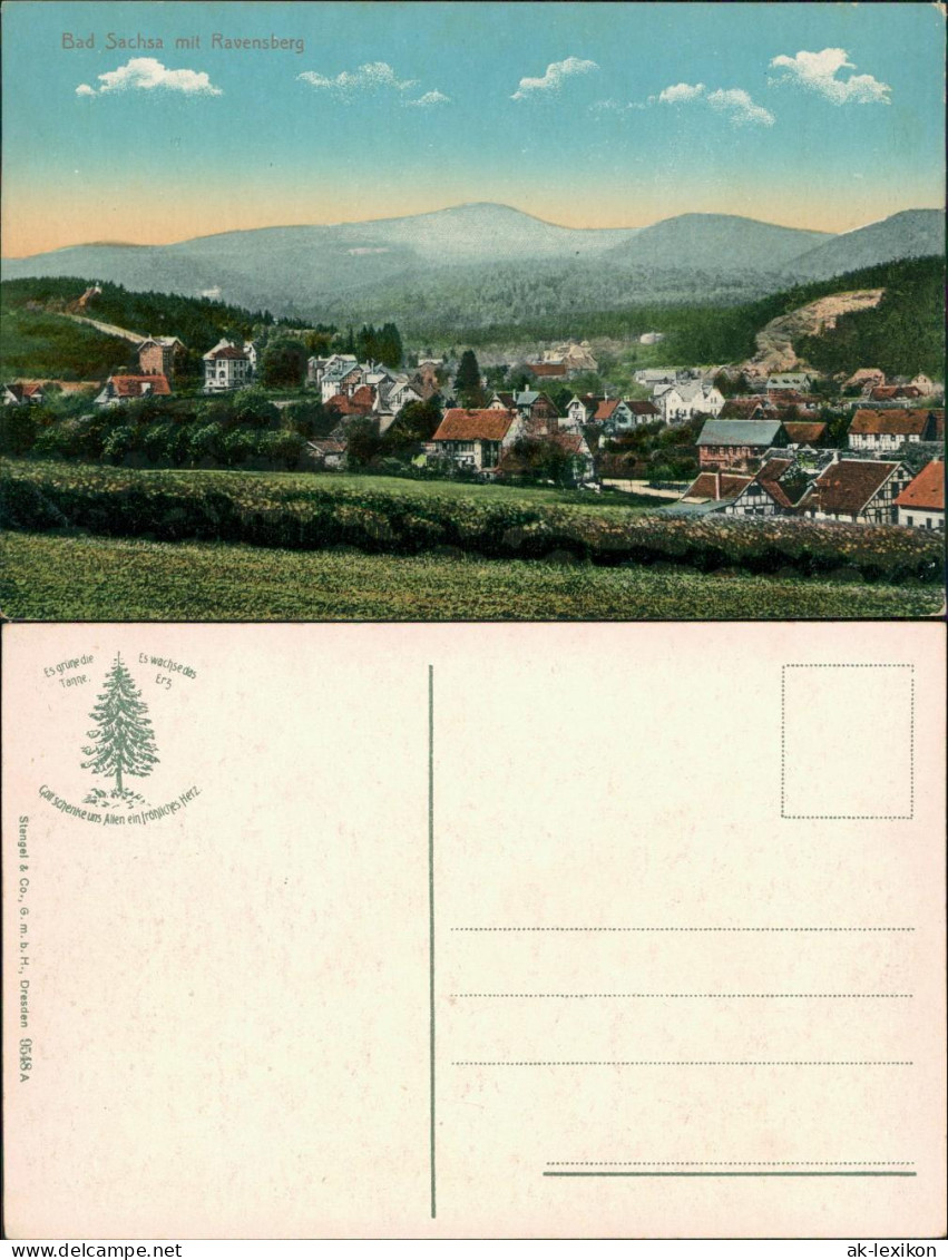 Ansichtskarte Bad Sachsa Panorama-Ansicht Mit Ravensberg 1913 - Bad Sachsa