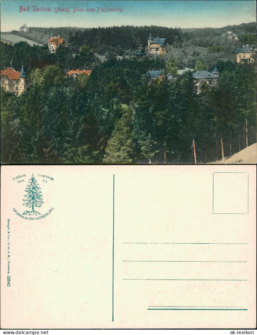 Ansichtskarte Bad Sachsa Blick Auf Den Ort Vom Pfaffenberg 1913 - Bad Sachsa