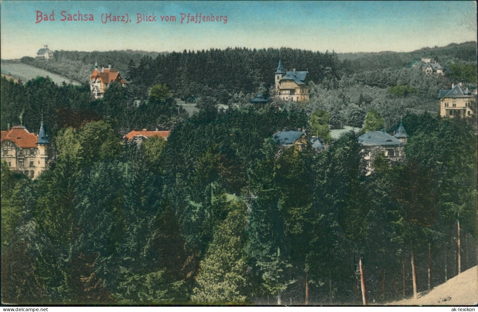 Ansichtskarte Bad Sachsa Blick Auf Den Ort Vom Pfaffenberg 1913 - Bad Sachsa