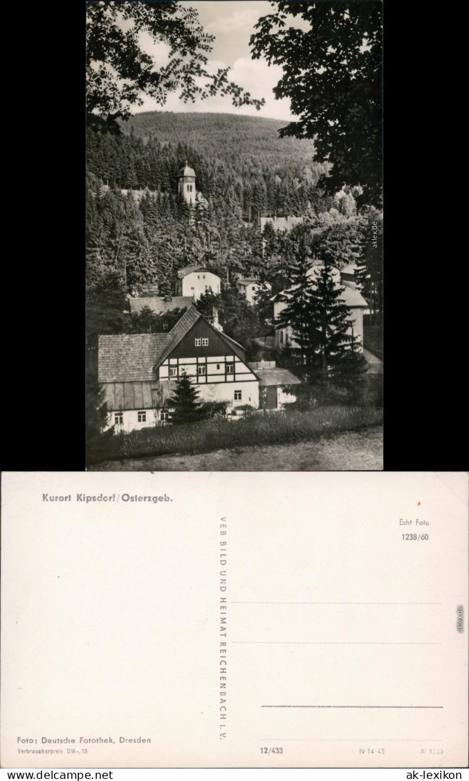 Ansichtskarte Kipsdorf-Altenberg (Erzgebirge) Panoramablick 1960 - Kipsdorf