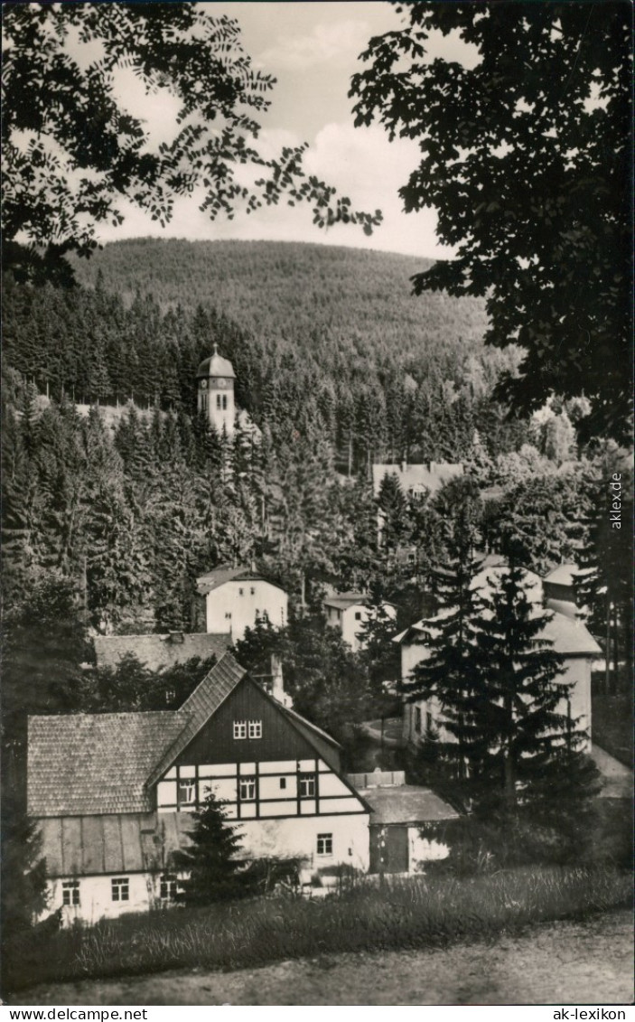 Ansichtskarte Kipsdorf-Altenberg (Erzgebirge) Panoramablick 1960 - Kipsdorf