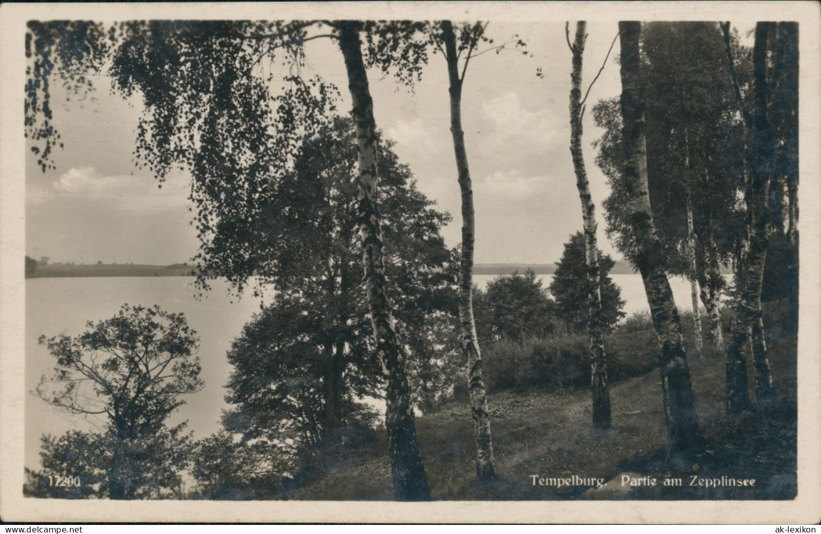 Tempelburg (Pommern) Czaplinek Birken Am Zepplinsee Jezioro Czaplino 1930 - Pommern