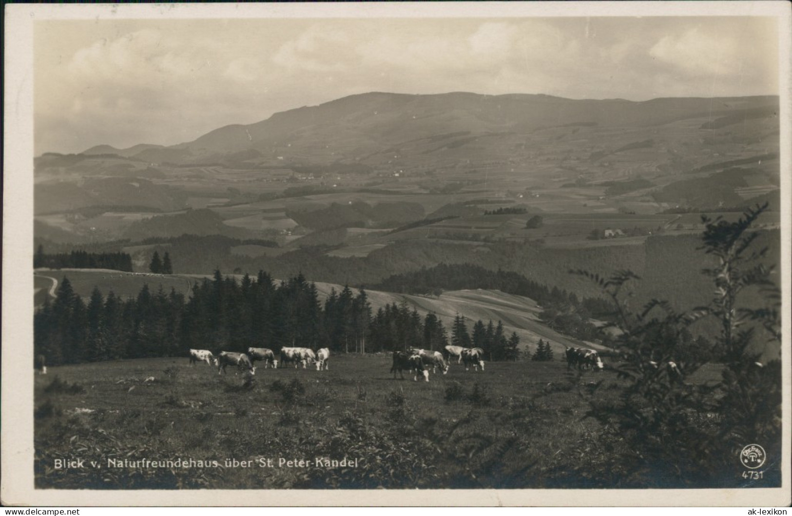 St. Peter (Hochschwarzwald)  Blick V. Naturfreundehaus   St. Peter-Kandel 1935 - St. Peter