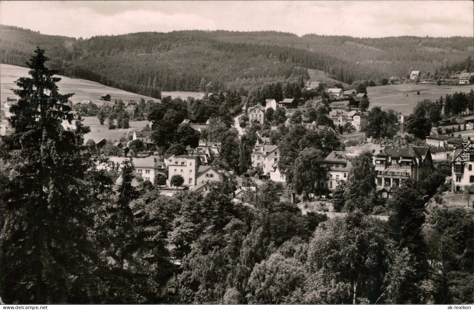 Ansichtskarte Bad Elster Panoramablick 1961 - Bad Elster