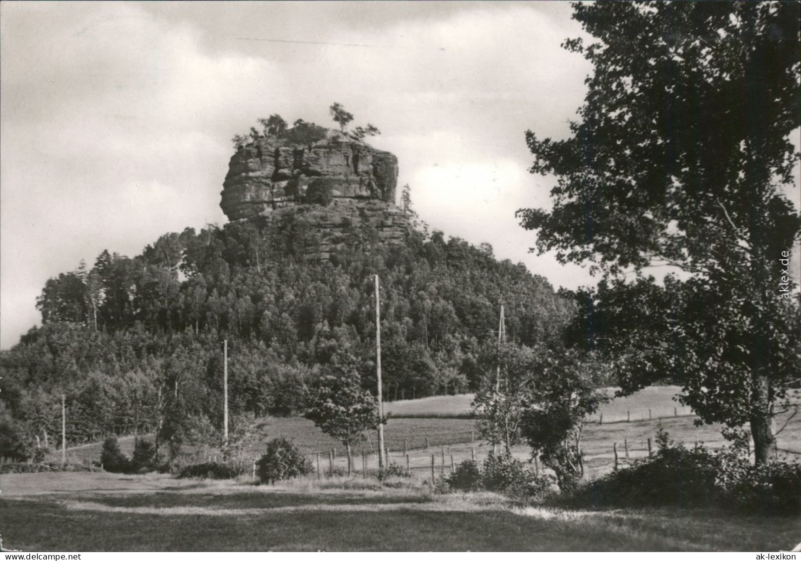 Ansichtskarte Schöna-Reinhardtsdorf-Schöna Zirkelstein 1986 - Schoena