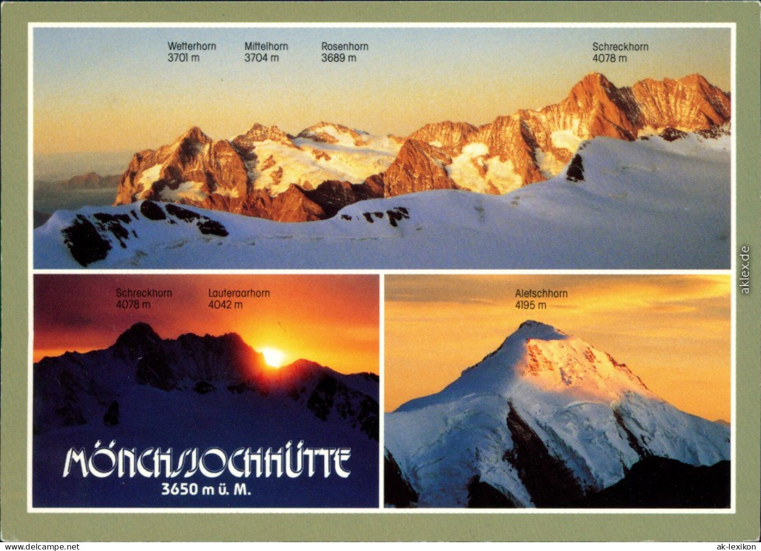 Ansichtskarte Lauterbrunnen Mönchsjoch Hütte - Panorama 1993 - Sonstige & Ohne Zuordnung